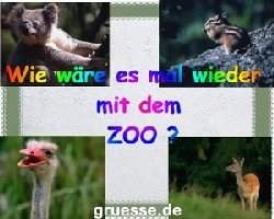 grusskarte-einladungen-ausgehen-k_008