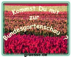 grusskarte-einladungen-diverses-k_004
