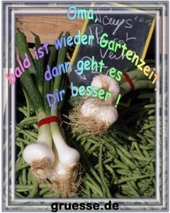 grusskarte-glueckwuensche-genesung-k_002