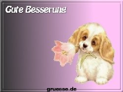 grusskarte-glueckwuensche-genesung-k_013