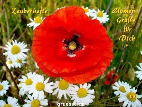 Grusskarten von gruesse.de