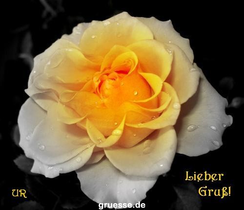 Grusskarten von gruesse.de