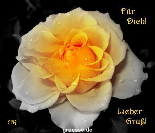 Grusskarten von gruesse.de