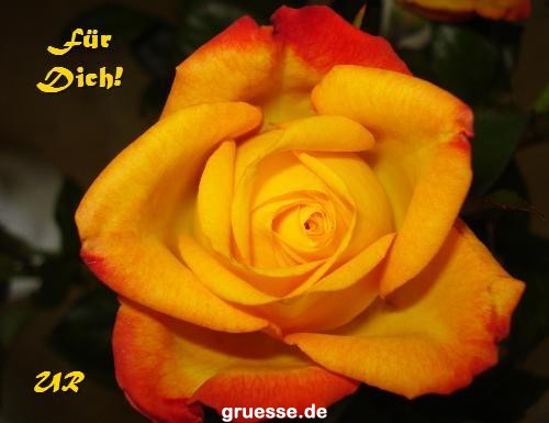 Grusskarten von gruesse.de