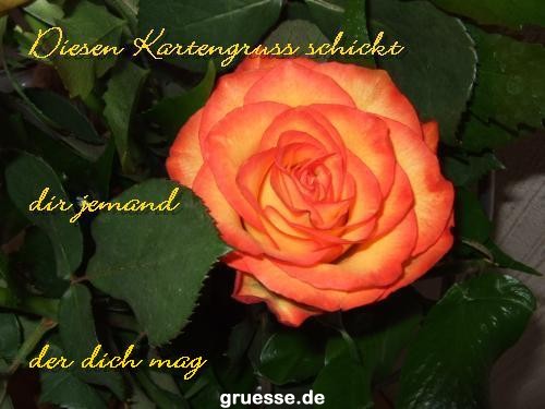 Grusskarten von gruesse.de