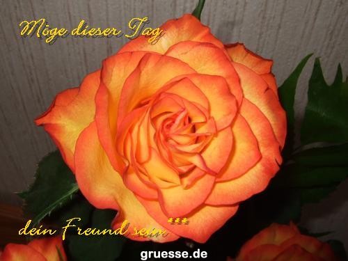 Grusskarten von gruesse.de