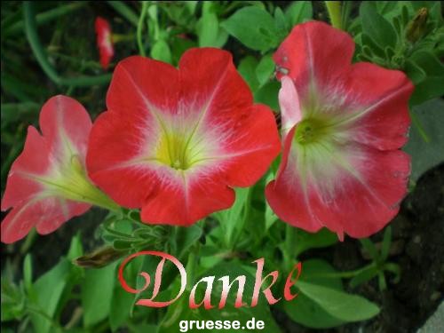 Grusskarten von gruesse.de