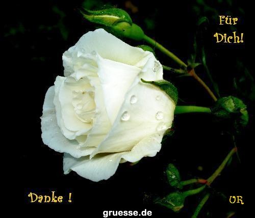 Grusskarten von gruesse.de