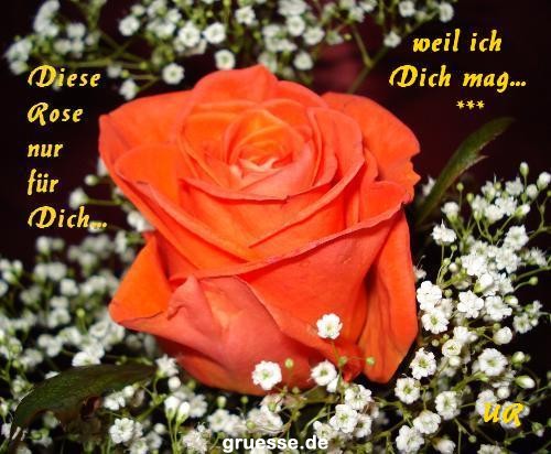 Grusskarten von gruesse.de