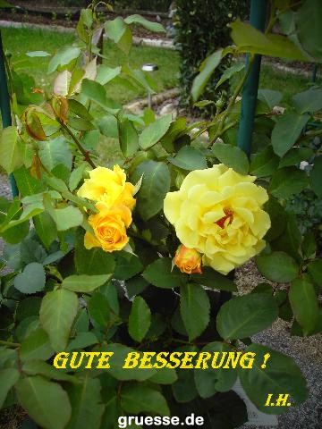 Grusskarten von gruesse.de