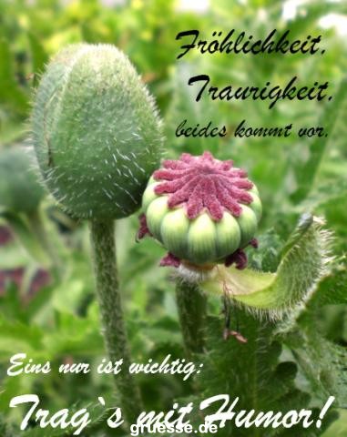 Grusskarten von gruesse.de