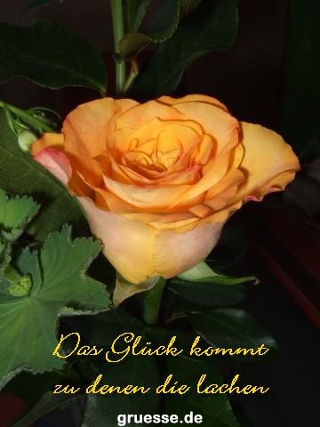 Grusskarten von gruesse.de