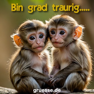 Grusskarten von gruesse.de