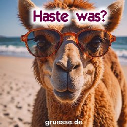 grusskarte-quadratisch-diverses_029