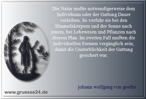 dauer-001