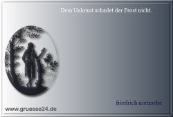 boese-007