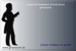 dummheit-016