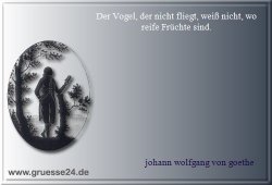 fleiss-009
