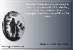 freiheit-060