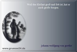 groesse-056