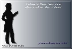 hass-029
