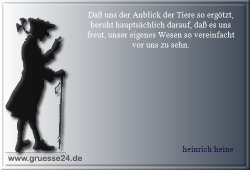 tiere-002
