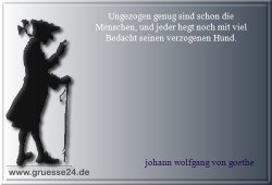 tiere-010