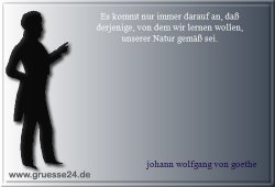 vorbild-023