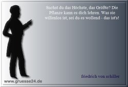 wesen-003
