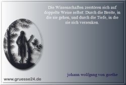 wissenschaft-017