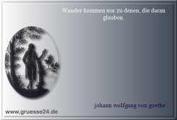 wunder-002