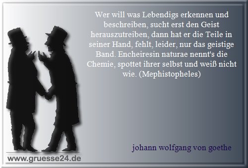 wissenschaft-014