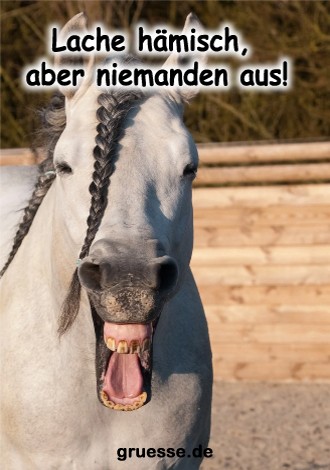 grusskarte-diverses-bloede-sprueche_015