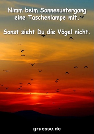 grusskarte-diverses-bloede-sprueche_016