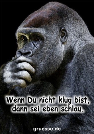 grusskarte-diverses-bloede-sprueche_021
