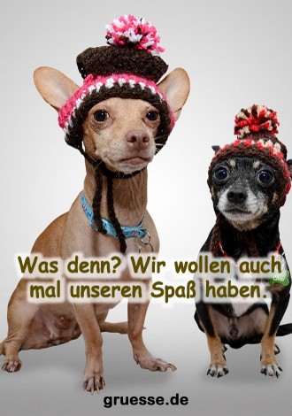 grusskarte-diverses-spass_003