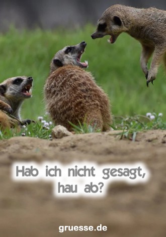 grusskarte-diverses-streit_006