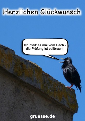 grusskarte-glueckwuensche-pruefung_008