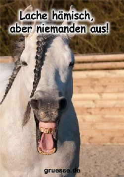 grusskarte-diverses-bloede-sprueche_015