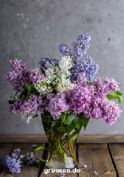 grusskarte-diverses-blumengruesse_004