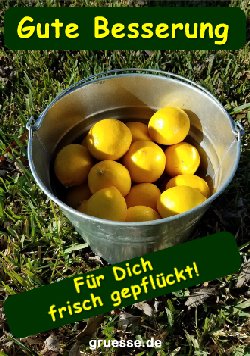grusskarte-diverses-gute-besserung_001