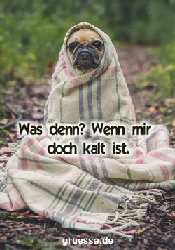 grusskarte-diverses-spass_005