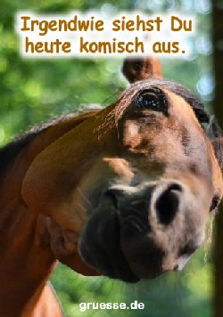 grusskarte-diverses-spass_009