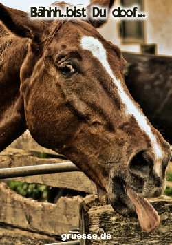 grusskarte-diverses-spass_011