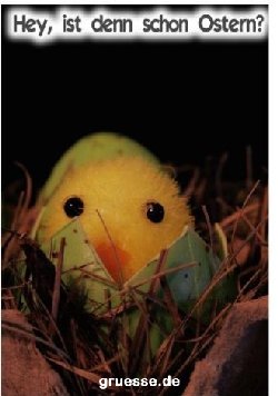grusskarte-festtage-ostern_015