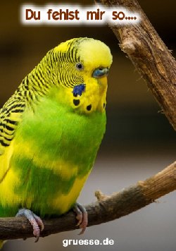 grusskarte-herzensgruesse-liebe_016