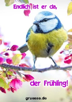 grusskarte-zeiten-jahreszeit-fruehling_006