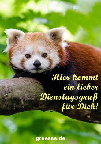 Grusskarten von gruesse.de