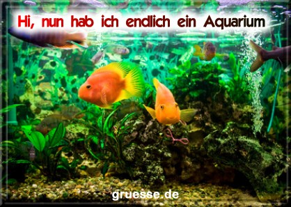 grusskarte-diverses-aquarianer-b_005