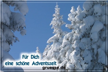 grusskarte-festtage-advent-winterfotos-b_006